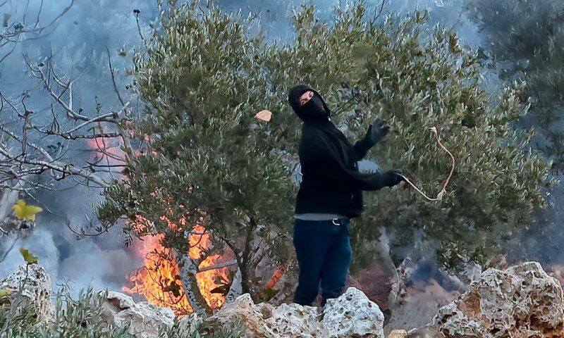 مستوطنون إسرائيليون يهجمون على قرية بالضفة ويحرقون أشجار الزيتون