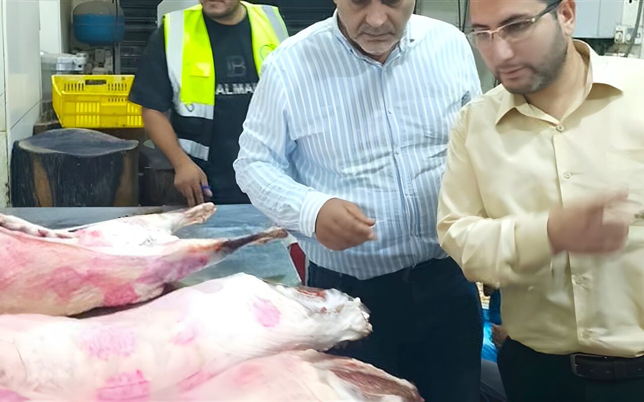ضبط 2.25 طن لحوم ومصنعات غذائية مخالفة في حملة رقابية بغرب شبرا الخيمة