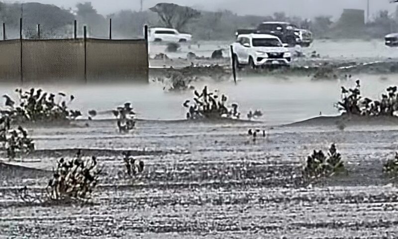 أمطار متفاوتة الشدة تضرب عدد من المدن الإماراتية