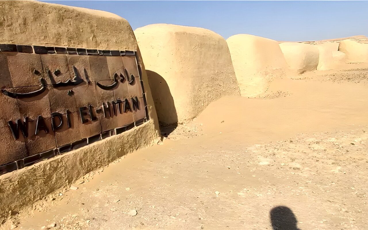 رحلة إلى وادي الحيتان، كنز عمره 40 مليون سنة في قلب صحراء الفيوم