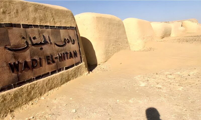 رحلة إلى وادي الحيتان، كنز عمره 40 مليون سنة في قلب صحراء الفيوم