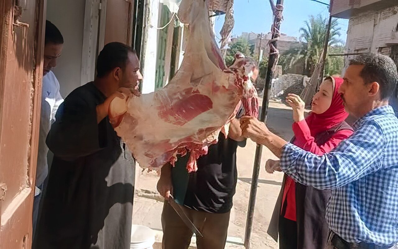 محافظ المنيا: ضبط 814 كيلو لحوم ودواجن وأسماك فاسدة خلال سبتمبر
