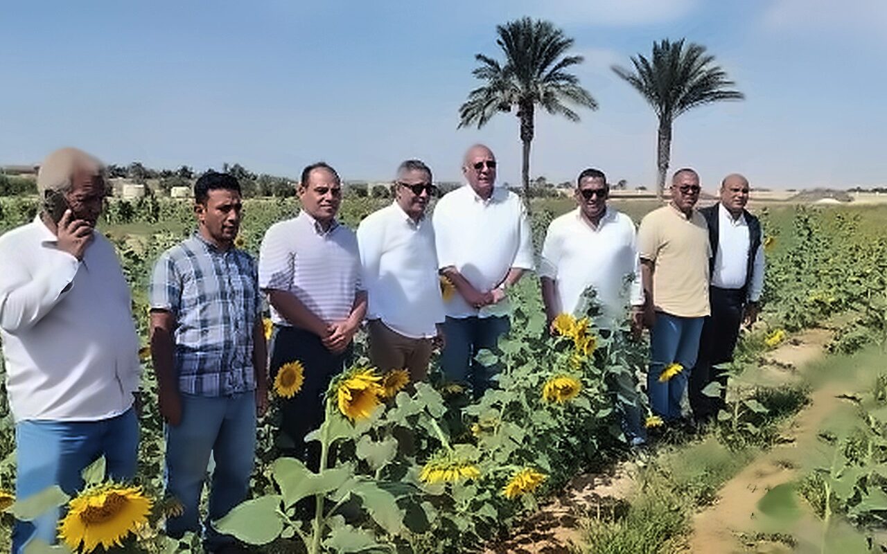 عباد الشمس بالمياه المالحة.. رئيس بحوث الصحراء يتفقد التجارب الزراعية.. ويدعم التنمية المستدامة برأس سدر