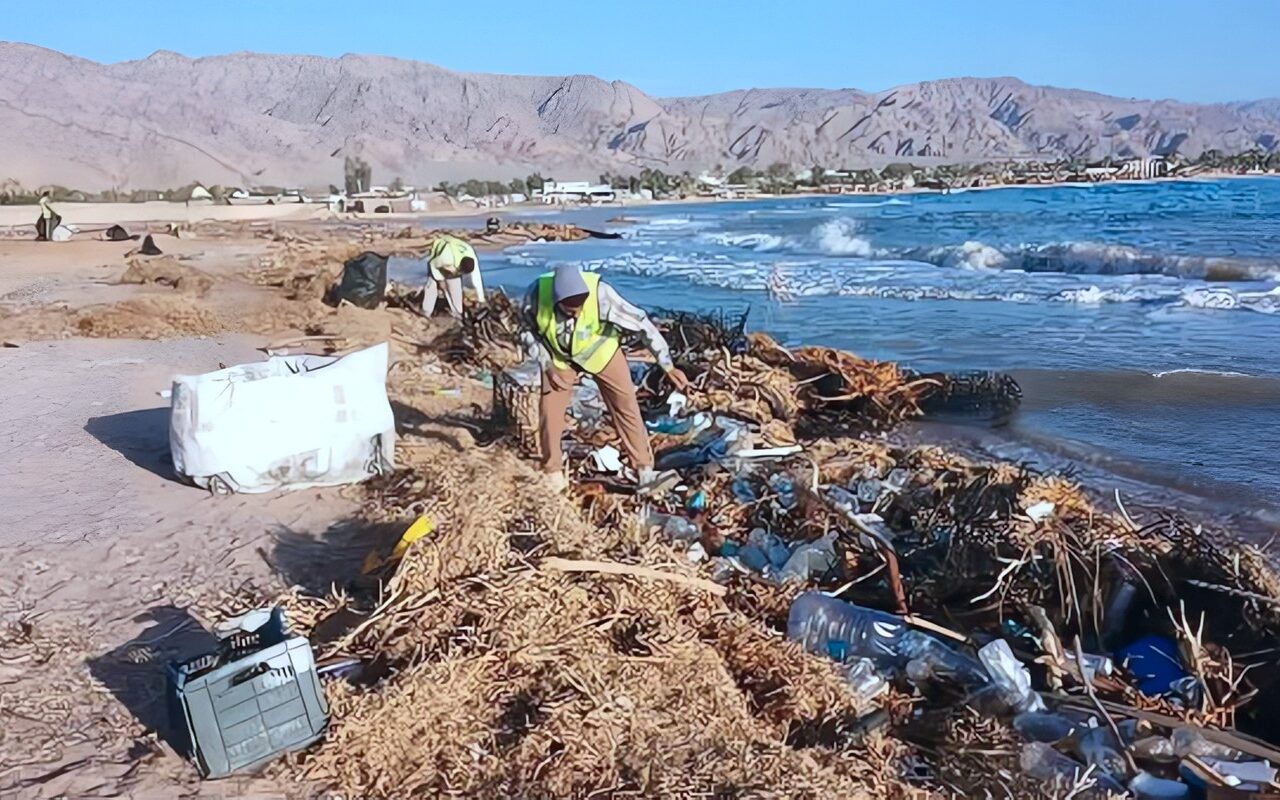 بعد السيول.. حملات مكثفة لإزالة الرواسب والمخلفات وحماية البيئة البحرية بنويبع