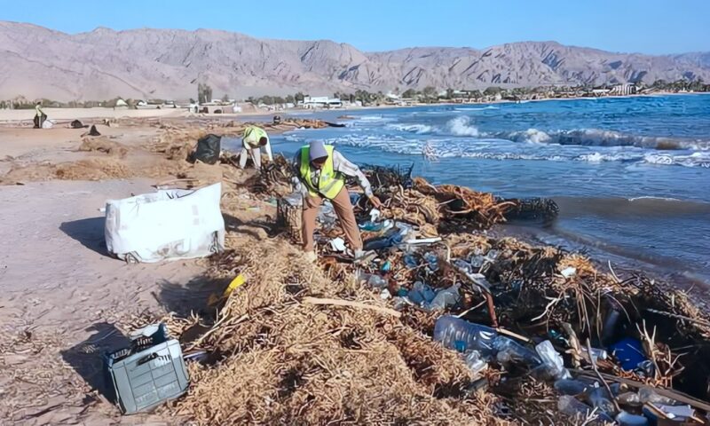 بعد السيول.. حملات مكثفة لإزالة الرواسب والمخلفات وحماية البيئة البحرية بنويبع