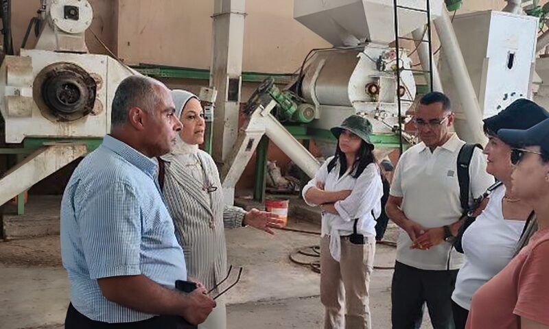 المعهد القومي لعلوم البحار والمصايد يستقبل وفدا أكاديميا تونسيا لتعزيز التعاون البحثي