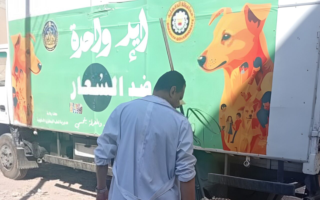 محافظ الدقهلية يتابع حملات مواجهة الكلاب الضالة بحي غرب المنصورة