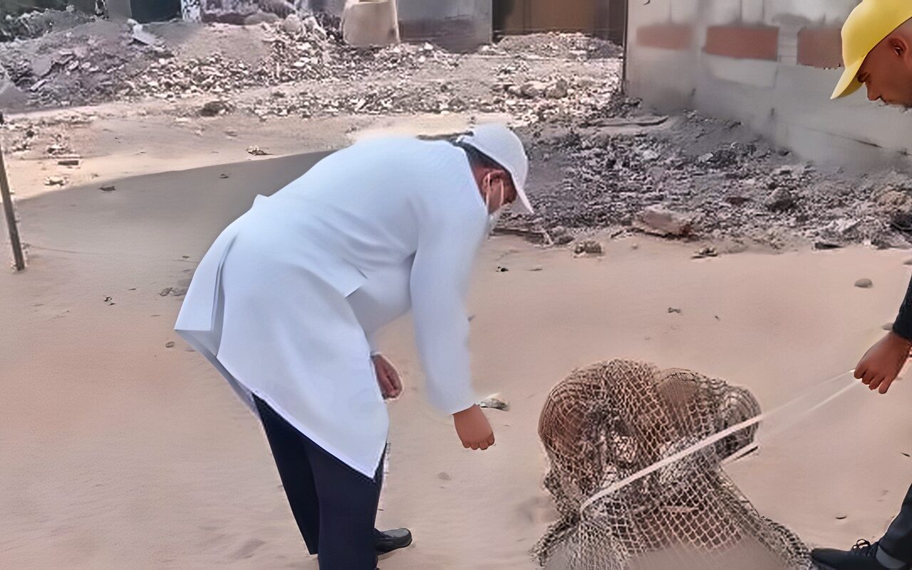 استجابة لشكاوى المواطنين.. محافظ الدقهلية يتابع حملات مواجهة الكلاب الضالة بحي غرب