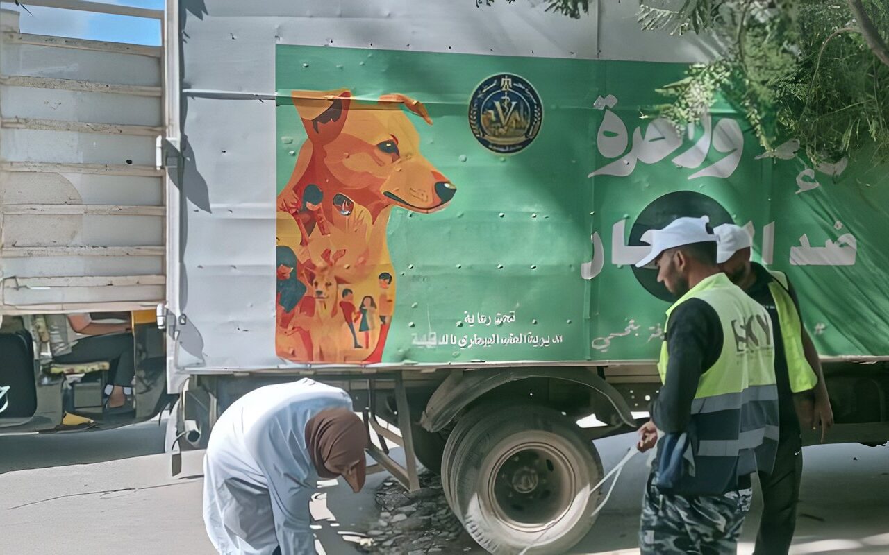 الدقهلية.. تكثيف الحملات بالمناطق الأكثر تعرضا لانتشار الكلاب الضالة