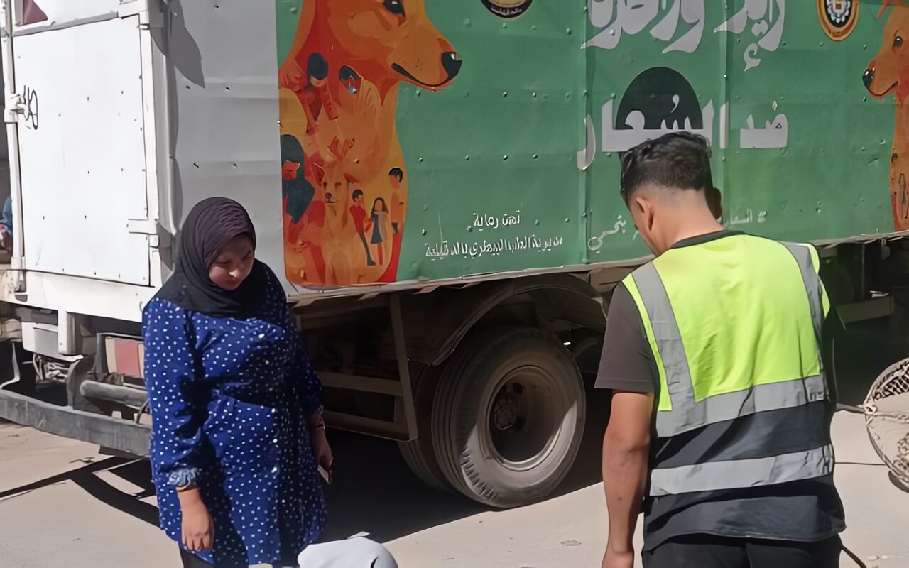 الدقهلية.. حملات بالمناطق الأكثر تعرضا لانتشار الكلاب الضالة للحد من مخاطرها