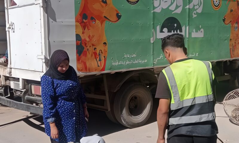 الدقهلية.. حملات بالمناطق الأكثر تعرضا لانتشار الكلاب الضالة للحد من مخاطرها
