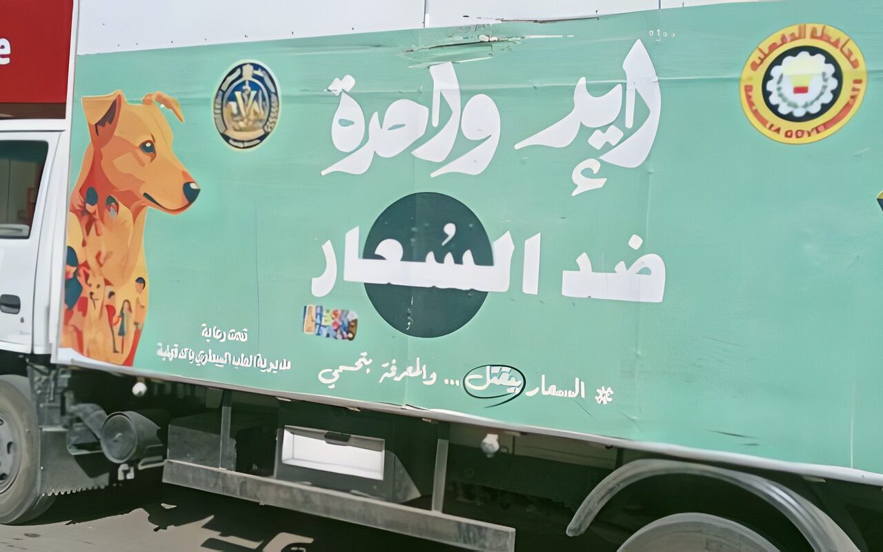 محافظ الدقهلية يتابع حملة لمواجهة الكلاب الضالة بحي غرب المنصورة واتخاذ الإجراءات اللازمة للحد من مخاطره