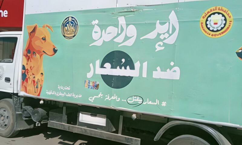 محافظ الدقهلية يتابع حملة لمواجهة الكلاب الضالة بحي غرب المنصورة واتخاذ الإجراءات اللازمة للحد من مخاطره