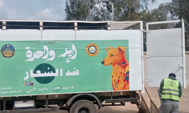 استجابة لشكاوى المواطنين.. محافظ الدقهلية يتابع حملات الطب البيطري لمواجهة الكلاب الضالة