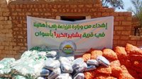 مساعدات غذائية لقرى العون الغذائي بأسوان.. والمحافظ يوجه الشكر لوزير الزراعة