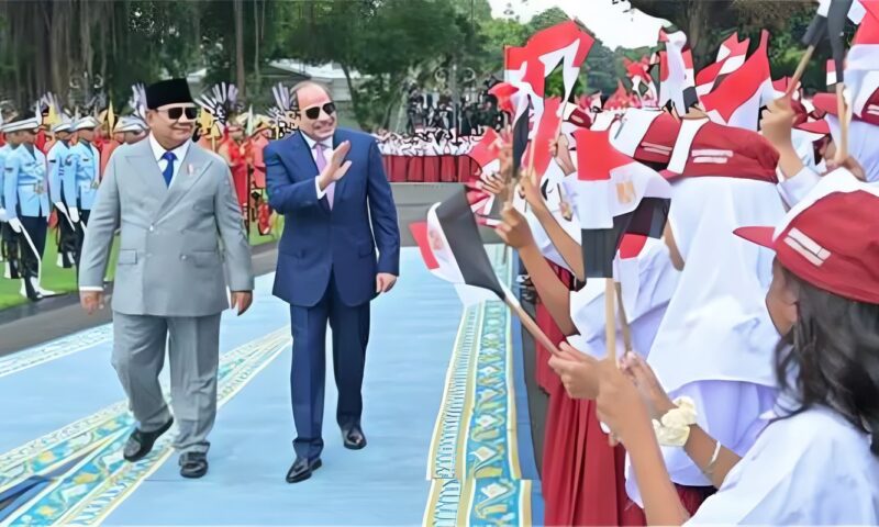 مصطفى فكري: جولة الرئيس السيسي الآسيوية تفتح أبوابًا استراتيجية جديدة أمام مصر وتؤسس لشراكات اقتصادية واعدة