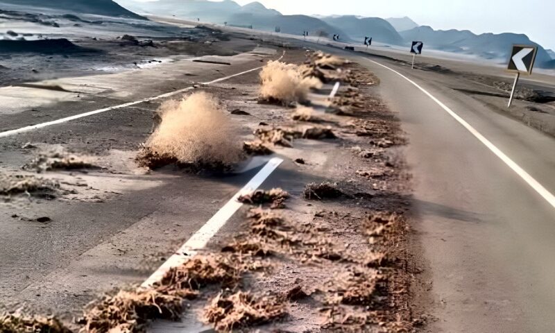 البحر الأحمر ترفع الاستعداد القصوى.. معدات الطرق تزيل الطمي بطريق مرسى علم برنيس