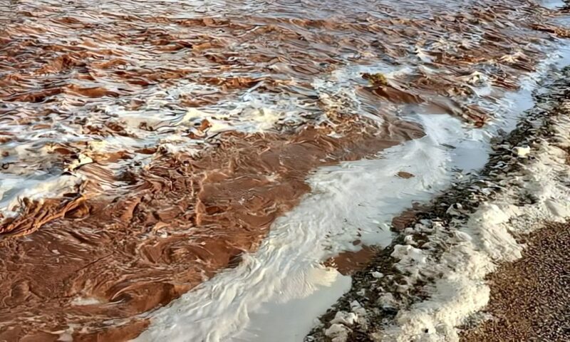 بداية تشكل سيل عند مدخل برانيس الشمالي.. محافظ البحر الأحمر يتابع تطورات الطقس