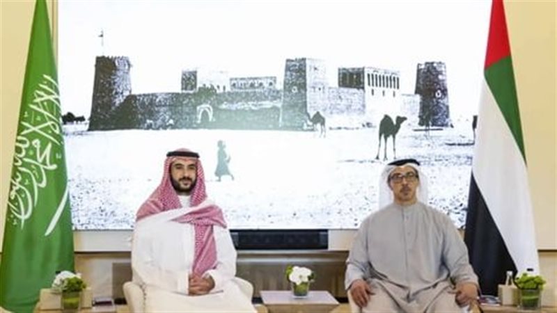 لبحث التطورات في المنطقة، لقاء بين نائب الرئيس الإماراتي ووزير الدفاع السعودي