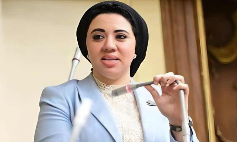 تزييف الوعي خطر يهدد المجتمع.. اقتراح برغبة لمواجهة الحسابات الوهمية على مواقع التواصل