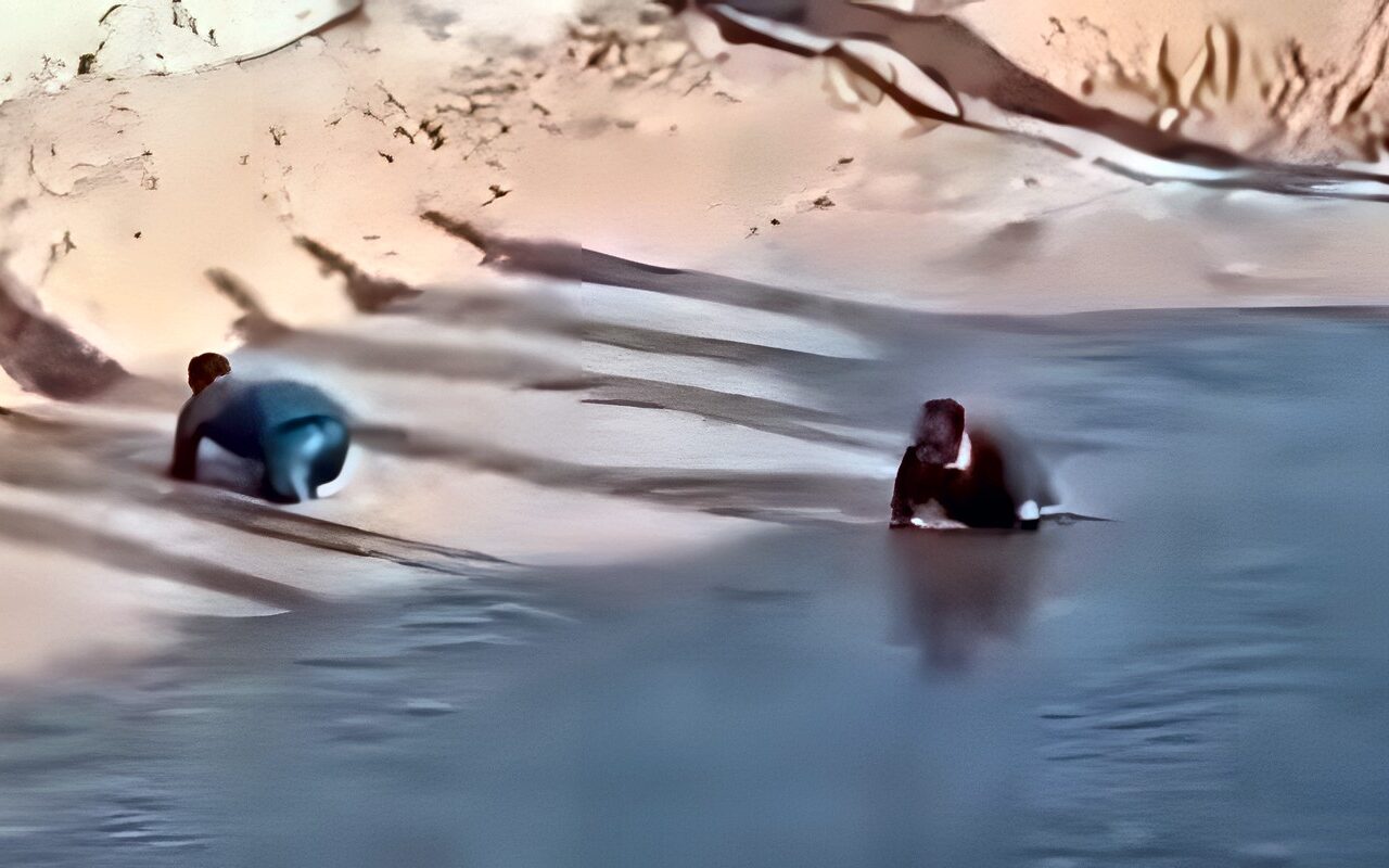 أيام من البحث والأمل.. شقيقان يناشدان بالعثور على أخيهما المفقود في سيول نويبع