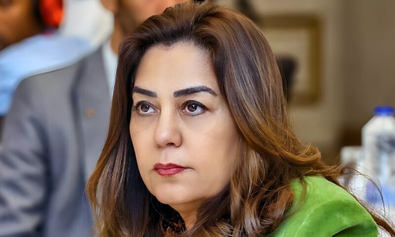 منال عوض: 2700 نشاط تدريبي وتثقيفي بـ 26 محافظة استفاد منها 212 ألف مواطن