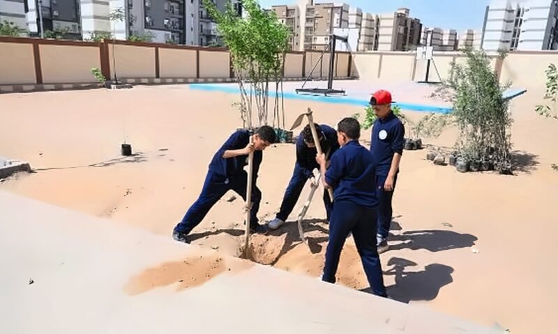دعم مدرسة الكرنك بـ 150 شجرة ضمن مبادرة «100 مليون شجرة» بمدينة بدر