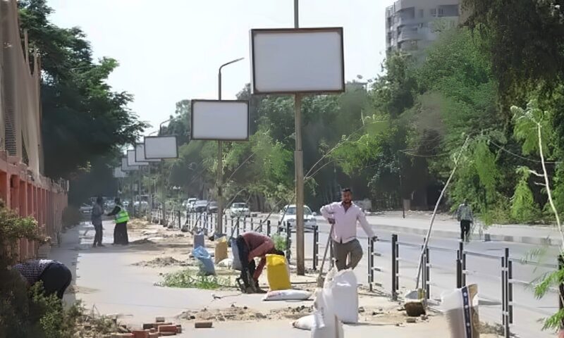 عوض: زراعة 220 شجرة بالمعادي بالتعاون مع اتحاد الشاغلين ومحبي الأشجار