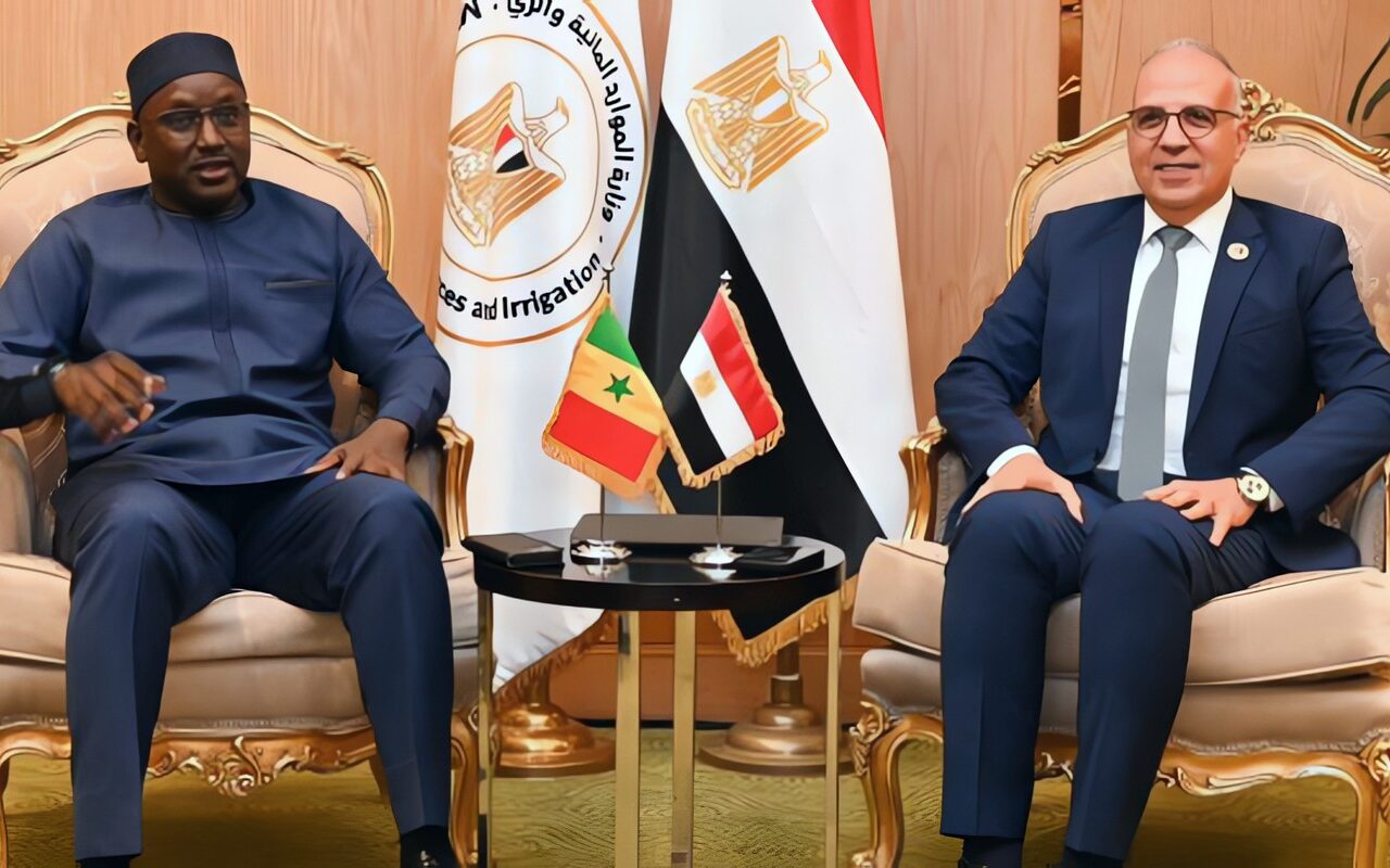 وزير الري يلتقي نظيره السنغالي لبحث تعزيز التنسيق في ملف المياه الأفريقية