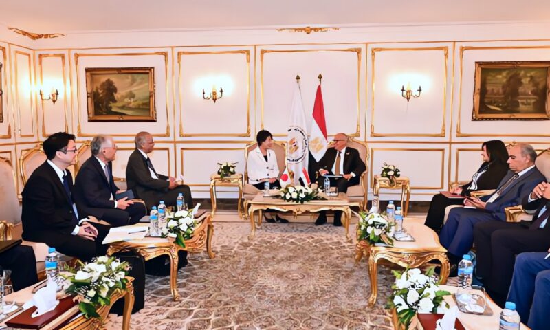 وزير الري يلتقي الرئيس المشارك للحوار التفاعلي الثالث من الجانب الياباني لبحث الإعداد لمؤتمر الأمم المتحدة للمياه ٢٠٢٦