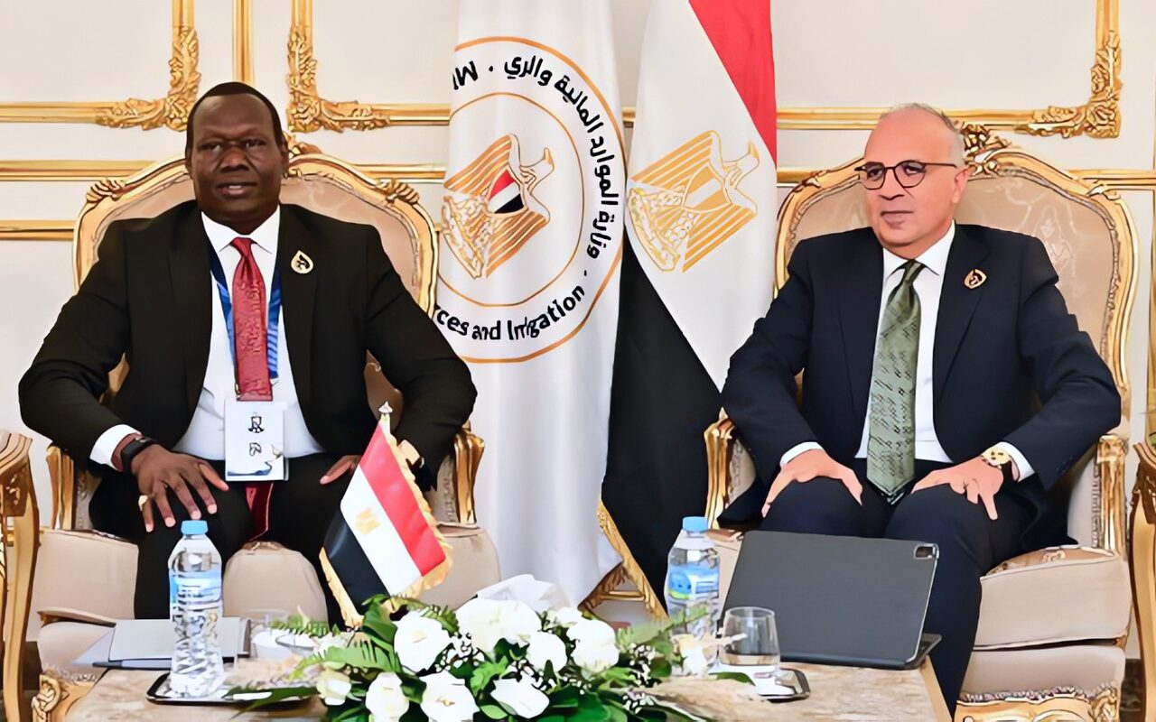 وزير الري: مصر حريصة على تنفيذ مشروعات تدعم أولويات التنمية بجنوب السودان