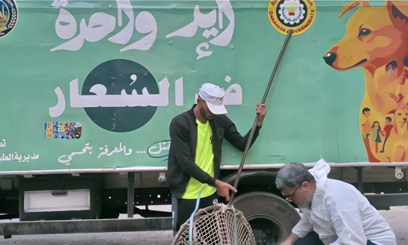 محافظ الدقهلية يتابع حملات مواجهة الكلاب الضالة بمركز ميت غمر