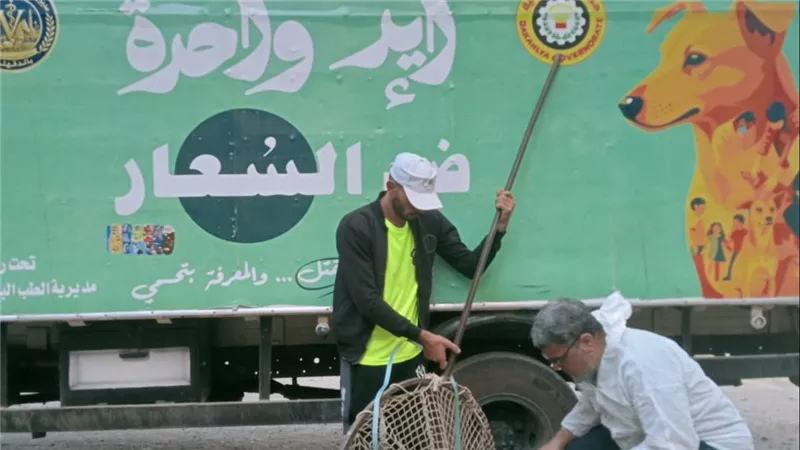 محافظ الدقهلية يتابع حملات مواجهة الكلاب الضالة بمركز ميت غمر