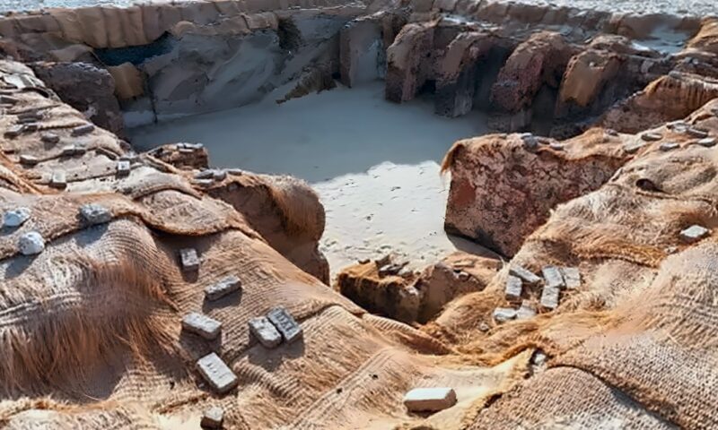 قرابين الفراعنة.. هل ضحى ملوك مصر القديمة بحاشيتهم؟.. كسور جماجم في مقابر أبيدوس تكشف أسرارا دموية عمرها 5 آلاف عام