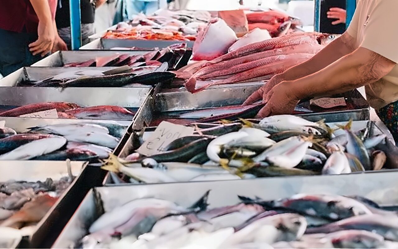 أسعار الأسماك اليوم، ارتفاع البلطي وانخفاض يصل إلى 60 جنيها في المكرونة والكابوريا والبوري