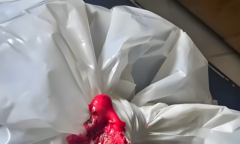 صحة القليوبية تضبط 100 كيلو عسل نحل مغشوش قبل طرحه بالأسواق
