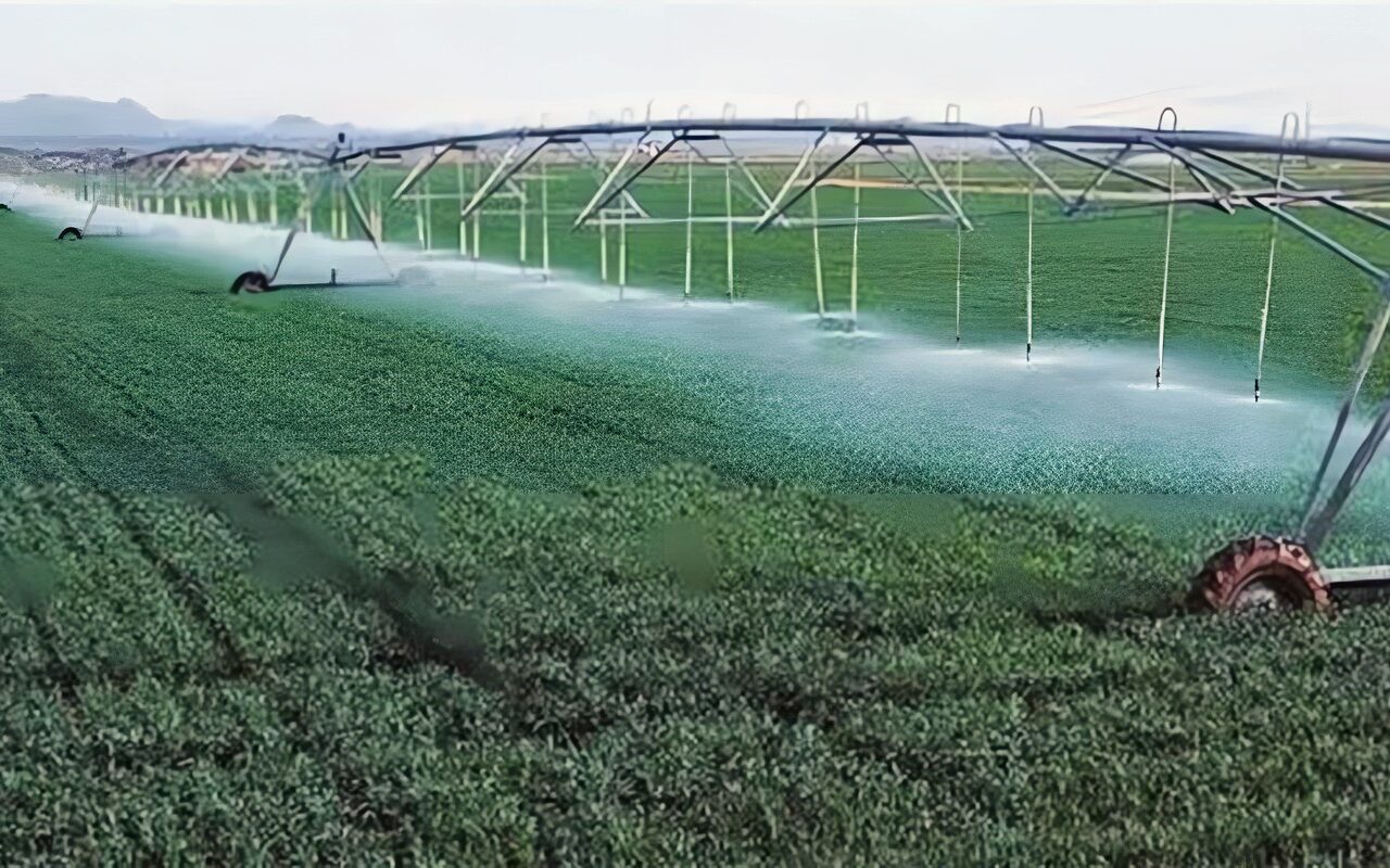 الزراعة تكشف مستهدف الصادرات والممارسات الحديثة في 2030