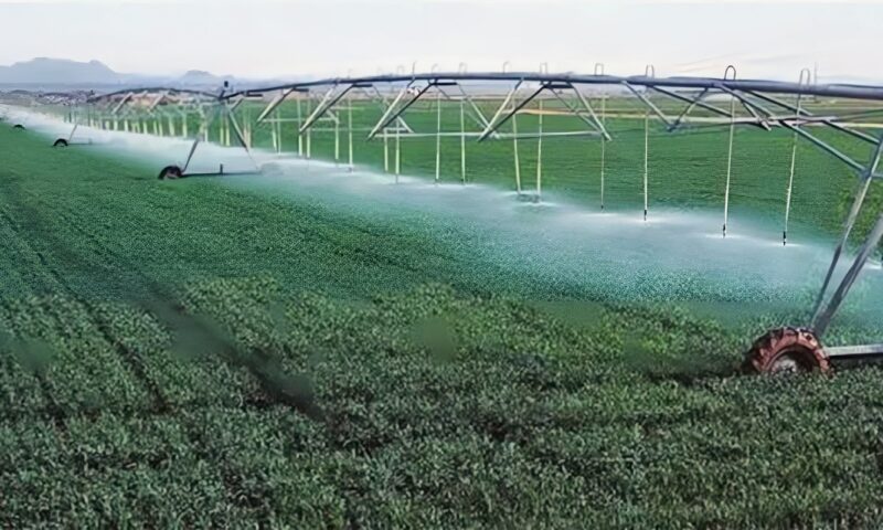 من الرقعة الزراعية إلى التصدير وأسعار التوريد، نقيب الفلاحين يكشف مكتسبات الزراعة في منتدى مصر 2026