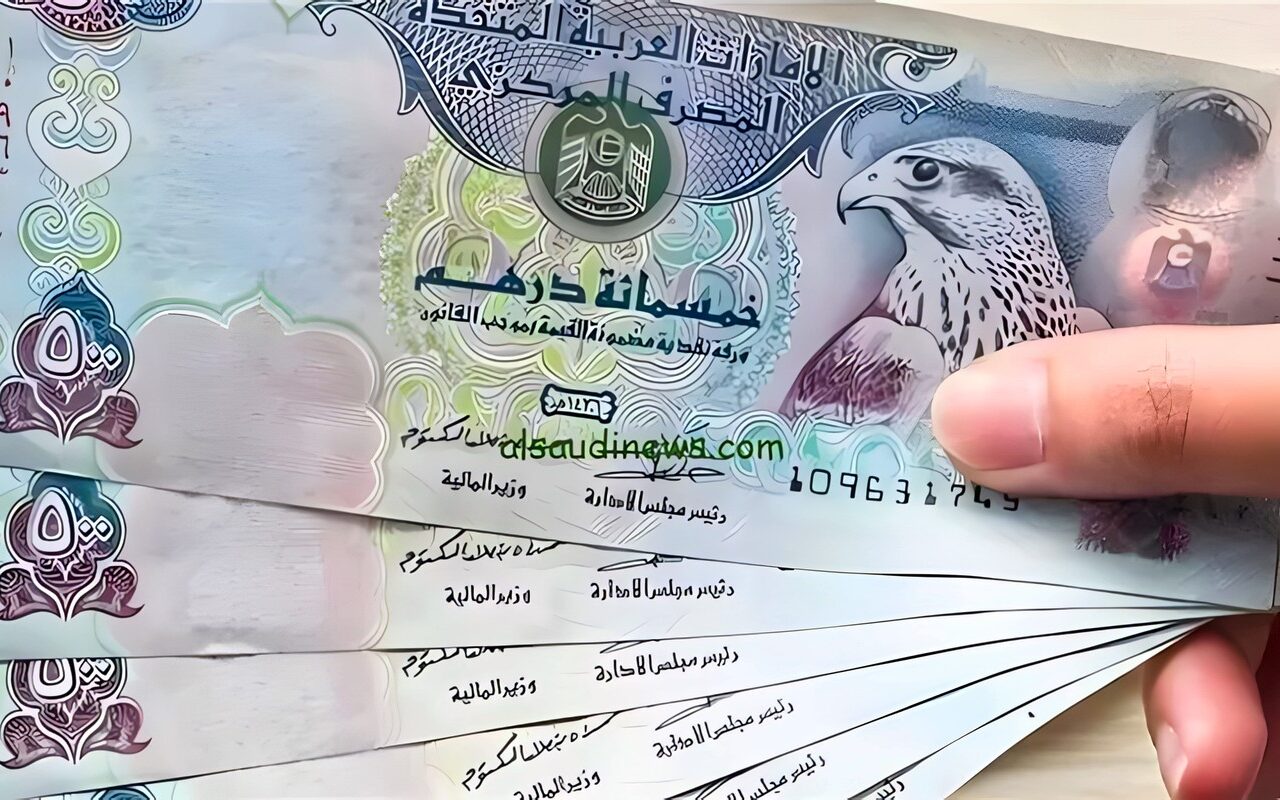 تراجع سعر الدرهم الإماراتي مقابل الجنيه في البنك المركزي اليوم الثلاثاء