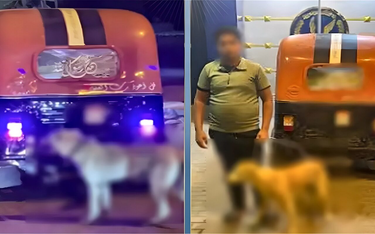 بدعوى المزاح، ضبط سائق سحل كلبا في شوارع الدلنجات بعد ربطه بتوك توك