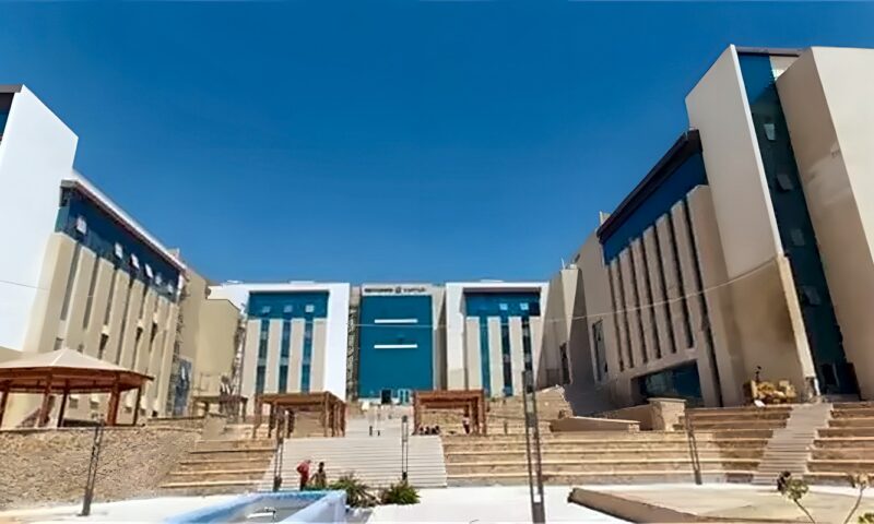 بالأرقام، رواتب أعضاء هيئة التدريس والإداريين بالجامعات الأهلية (مستند)