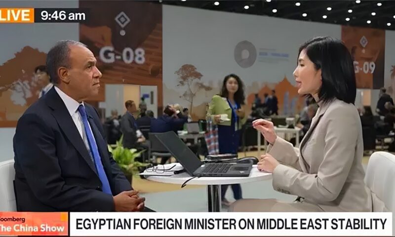 وزير الخارجية يُجرى لقاءً إعلاميًا مع “بلومبرج” حول العلاقات المصرية الآسيوية