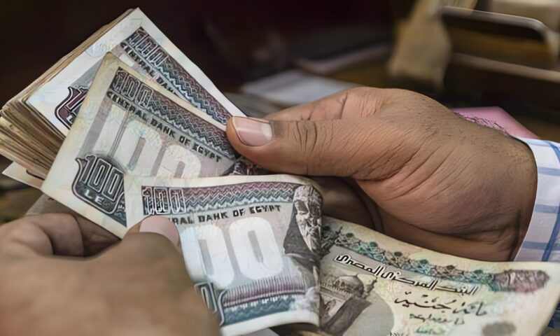 البدوي: تعديل الأجور على مدار 3 سنوات يدعم الطبقة المتوسطة.. والرقابة على الأسعار ضرورة