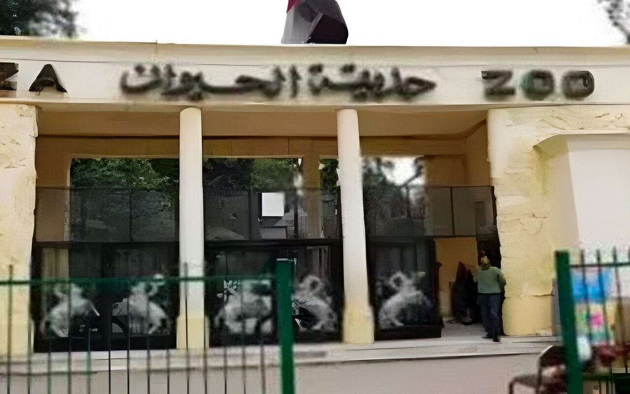 مفاجآت في التطوير الشامل.. متى تفتح حديقة الحيوان أبوابها للزوار؟