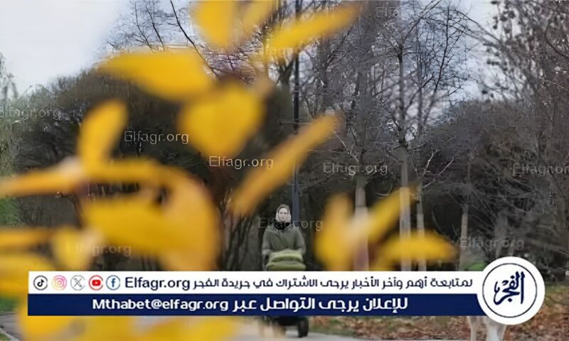الأرصاد: لا صحة لتوقعات الشتاء الأصعب وأمطار الخريف أعلى من معدلاتها الطبيعية