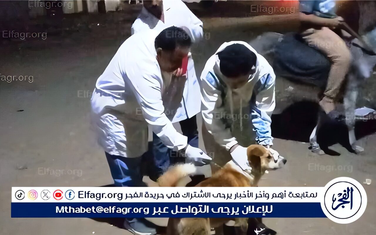 تحصين 27 كلبًا خلال حملة بيطرية مكبرة بمركز ساقلتة