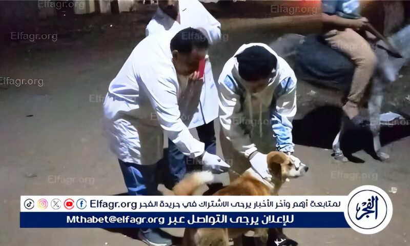 تحصين 27 كلبًا خلال حملة بيطرية مكبرة بمركز ساقلتة