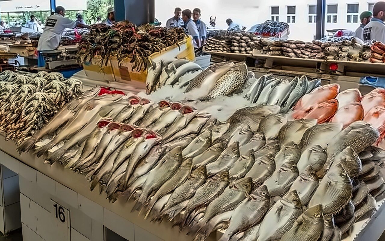 أسعار الأسماك اليوم، قفزة غير مسبوقة تضرب 8 أصناف منها البلطي والكابوريا والبوري