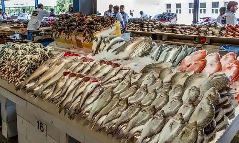 أسعار الأسماك اليوم، قفزة غير مسبوقة تضرب 8 أصناف منها البلطي والكابوريا والبوري