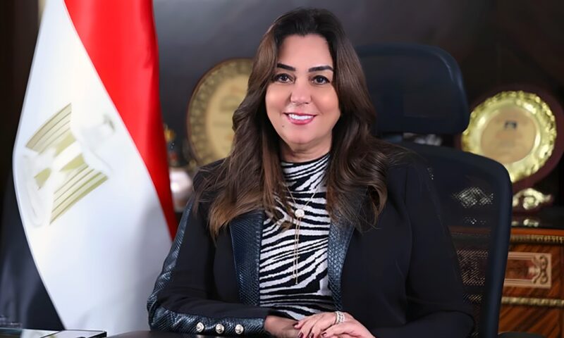 من تصنيع التمور إلى تطوير المجازر.. خريطة مشروعات التنمية بالوادي الجديد